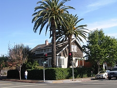 grateful dead members